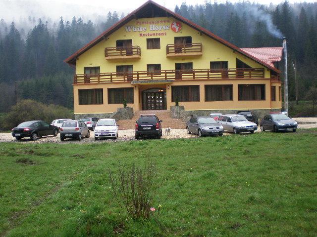 White Horse Hotel Predeal Ngoại thất bức ảnh