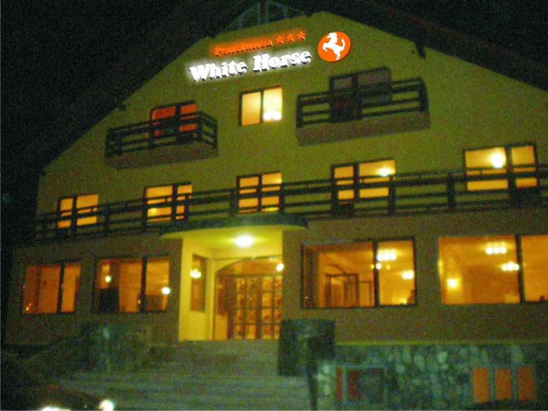 White Horse Hotel Predeal Ngoại thất bức ảnh
