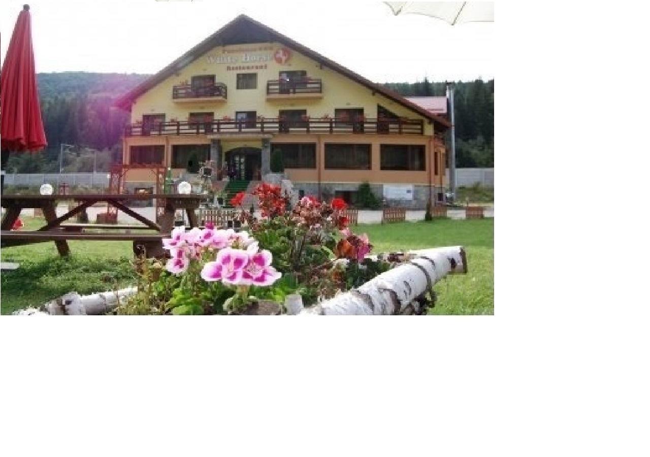 White Horse Hotel Predeal Ngoại thất bức ảnh